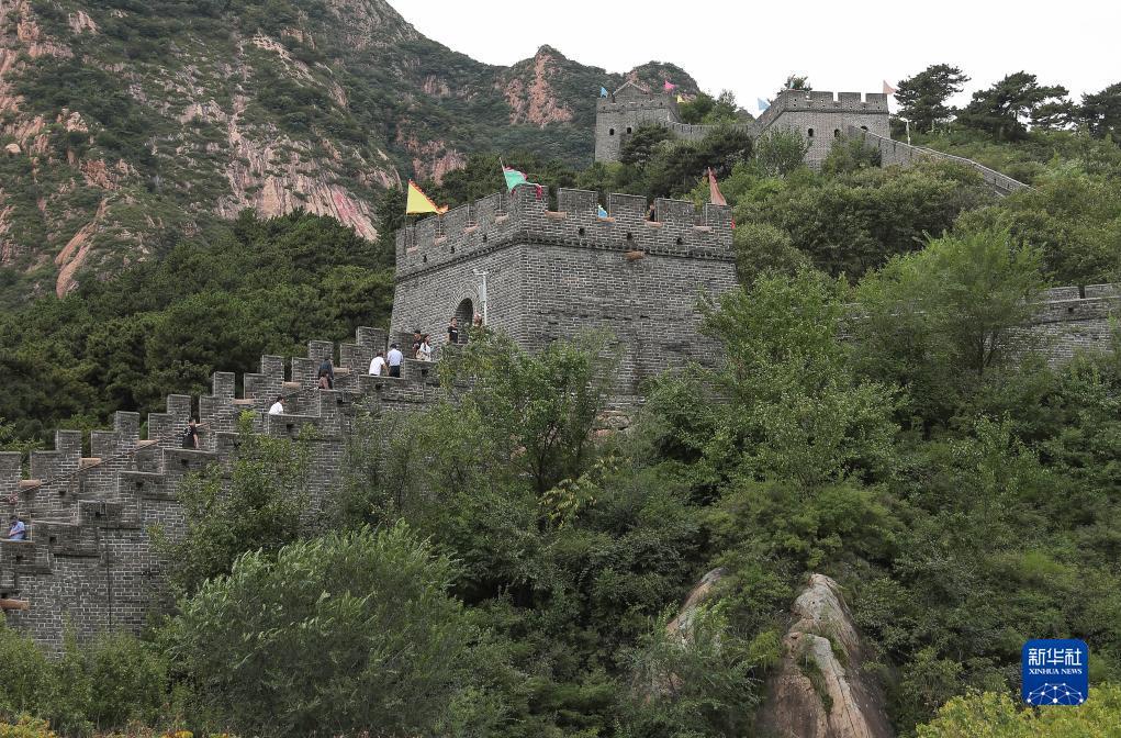 ag自助投注